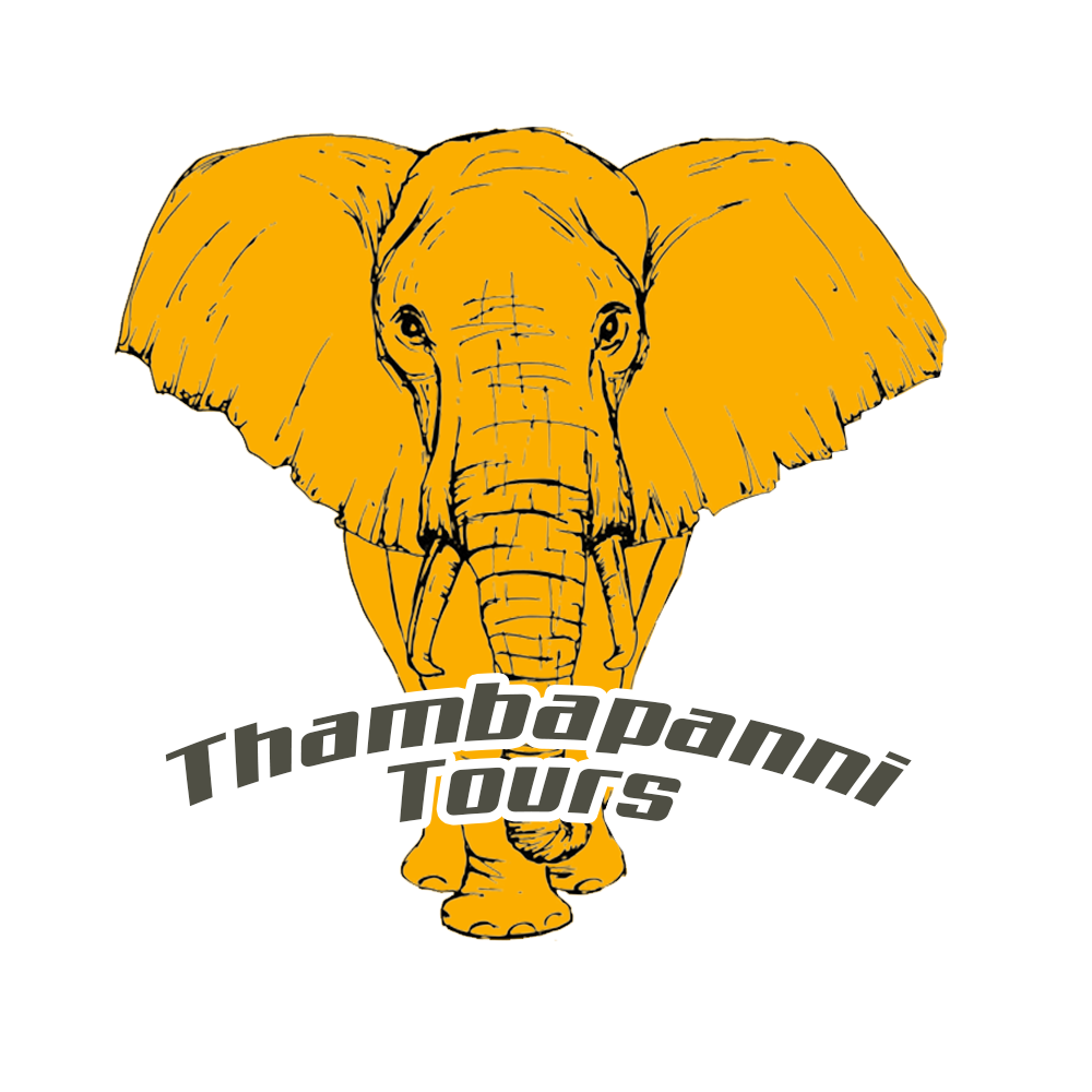 3LOGO